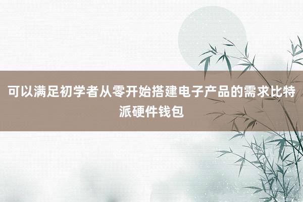 可以满足初学者从零开始搭建电子产品的需求比特派硬件钱包