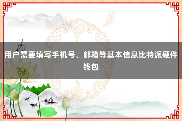 用户需要填写手机号、邮箱等基本信息比特派硬件钱包