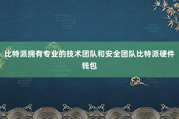 比特派拥有专业的技术团队和安全团队比特派硬件钱包