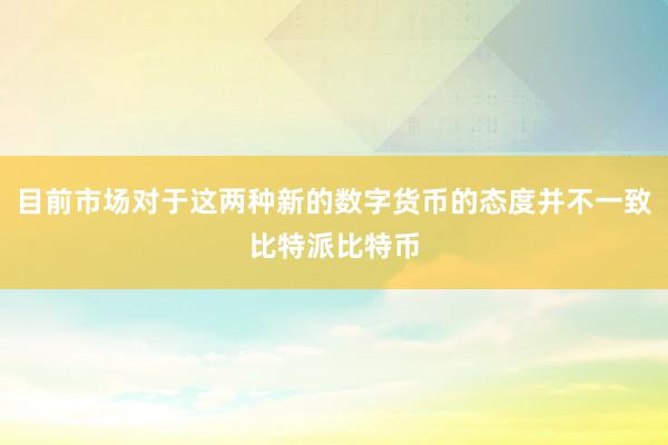 目前市场对于这两种新的数字货币的态度并不一致比特派比特币