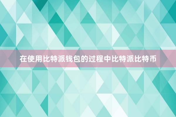 在使用比特派钱包的过程中比特派比特币