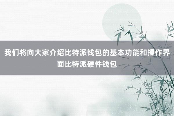 我们将向大家介绍比特派钱包的基本功能和操作界面比特派硬件钱包