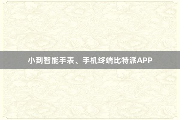 小到智能手表、手机终端比特派APP