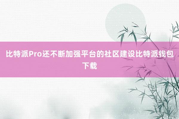 比特派Pro还不断加强平台的社区建设比特派钱包下载