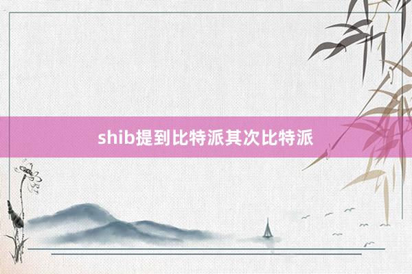 shib提到比特派其次比特派