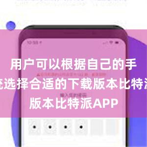 用户可以根据自己的手机系统选择合适的下载版本比特派APP