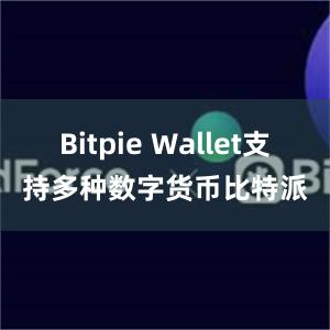 Bitpie Wallet支持多种数字货币比特派