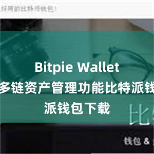 Bitpie Wallet新增了多链资产管理功能比特派钱包下载