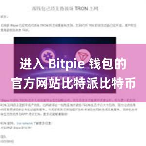 进入 Bitpie 钱包的官方网站比特派比特币