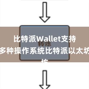 比特派Wallet支持多种操作系统比特派以太坊